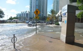 潮汐淹水潜水物在迈阿密市中心的一条街道