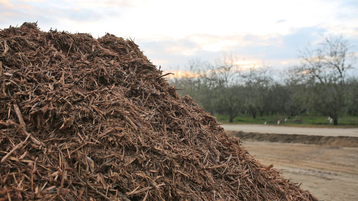 加州工厂将把木材废料转化为氢燃料