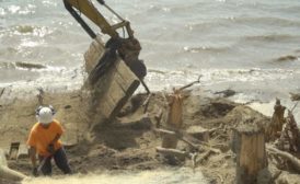 一组工作人员在缅因州的一条有生命的海岸线上工作