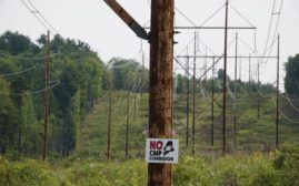A sign posted on a pole centered among a green field, trees and power lines reads 